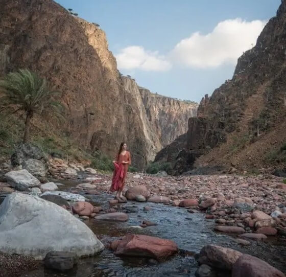 This amazing view is in Socotra Archipelago, in Yemen