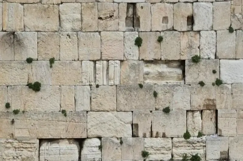 Western Wall in Historic Palestine