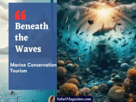 Beneath the Waves: Marine Conservation Tourism