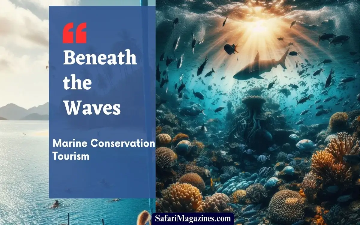 Beneath the Waves: Marine Conservation Tourism