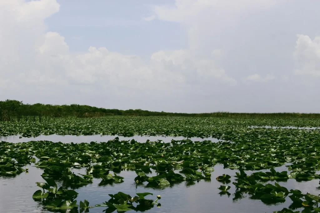 Everglades National Park