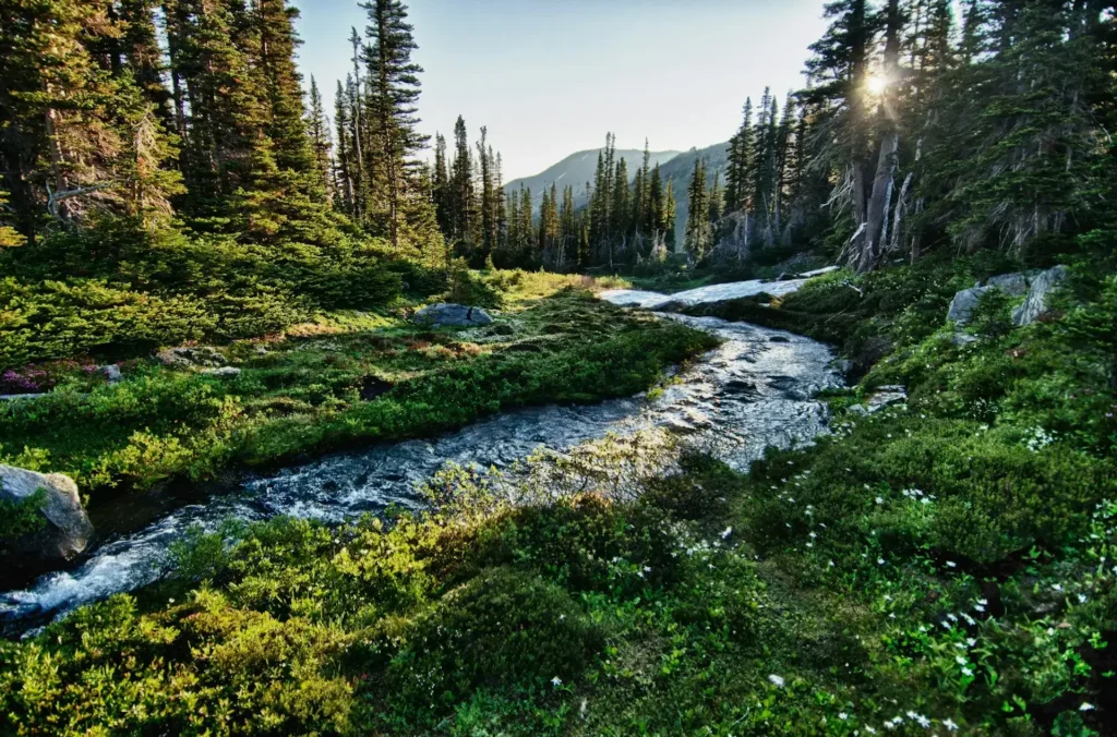 Olympic National Park