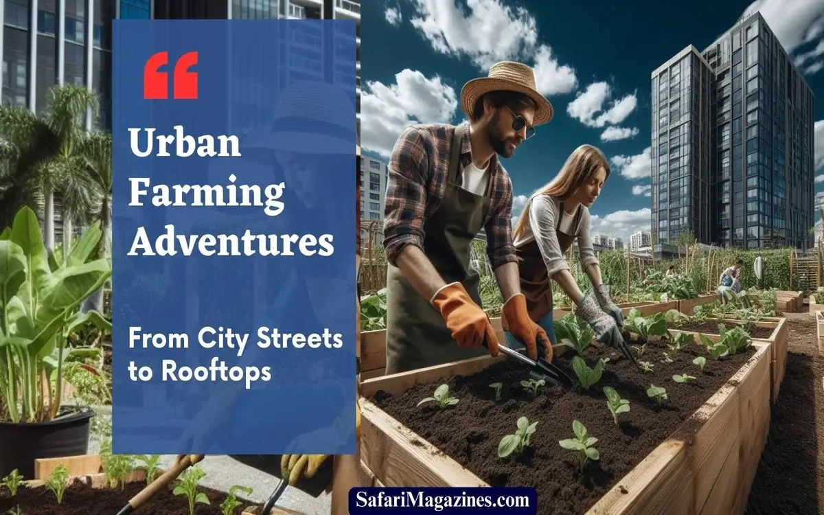 Urban Farming Adventures From City Streets to Rooftops