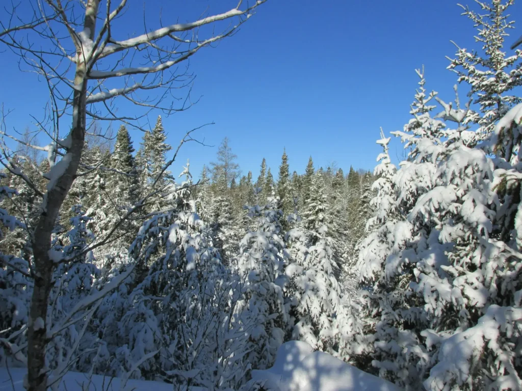 Voyageurs National Park