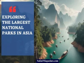 Exploring the Largest National Parks in Asia