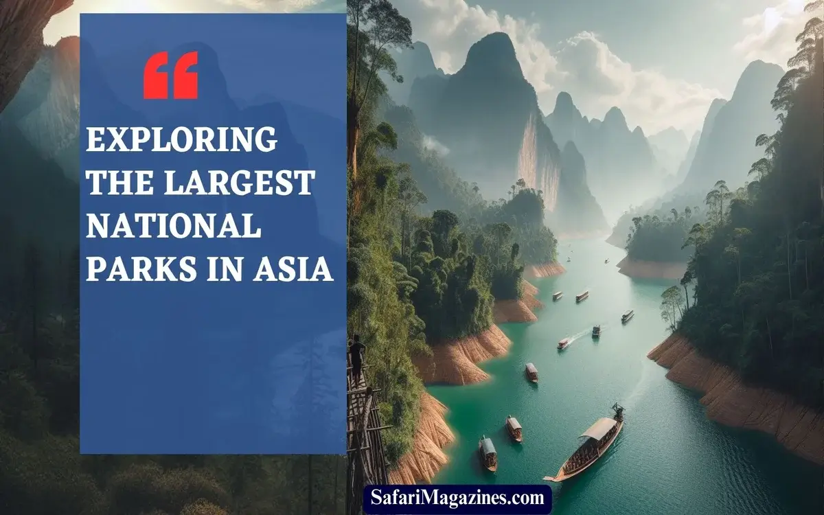 Largest National Parks in Asia: Await Your Discovery