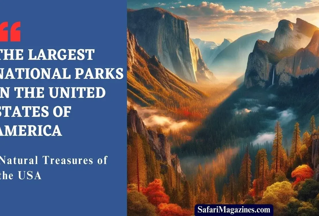 The Largest National Parks in the United States of America: Natural Treasures of the USA