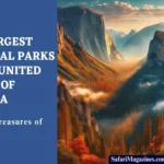 The Largest National Parks in the United States of America: Natural Treasures of the USA