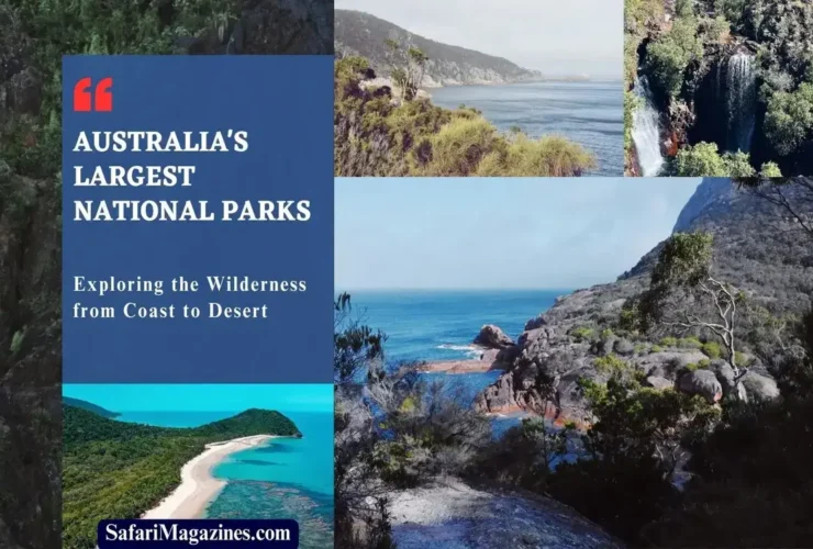 Australia's Largest National Parks _ Exploring the Wilderness from Coast to Desert