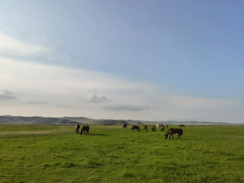 Hulunbuir Grassland National Nature Reserve in Inner Mongolia Autonomous Region, China