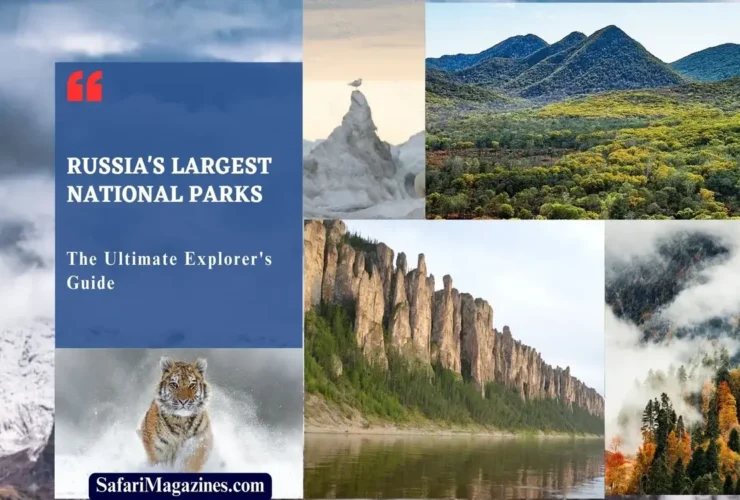 Russia's Largest National Parks: The Ultimate Explorer's Guide