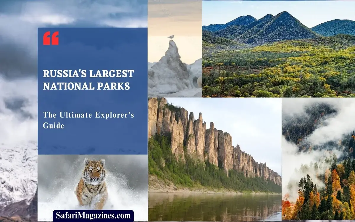 Russia's Largest National Parks: The Ultimate Explorer's Guide