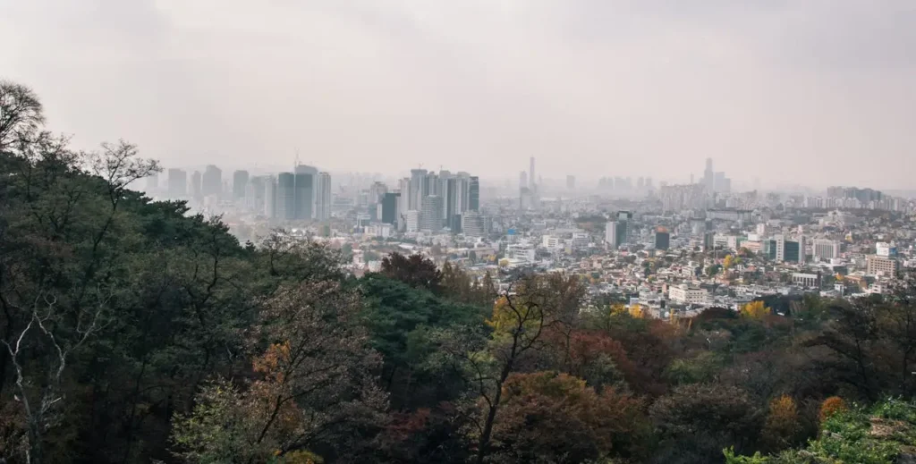 South Korea _ City and Trees