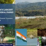 India's Largest National Parks Top 10 Natural Treasures Revealed