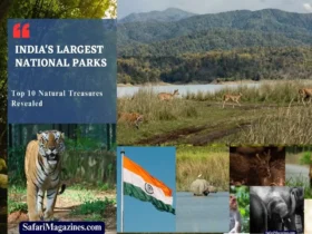 India's Largest National Parks Top 10 Natural Treasures Revealed