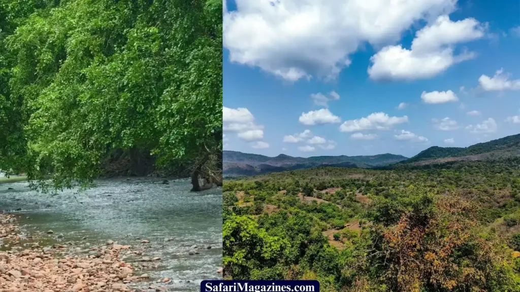 Sanjay Gandhi National Park, Situated on the northern outskirts of Mumbai, India