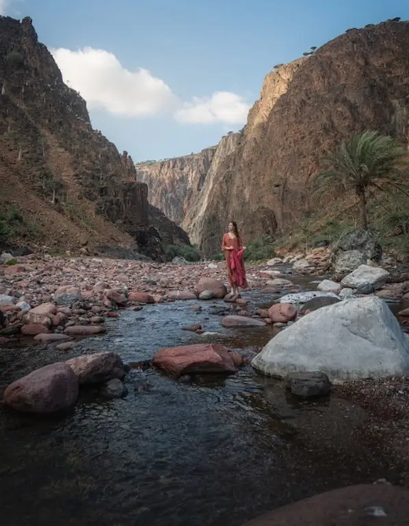 This amazing view is in Socotra Archipelago, in Yemen