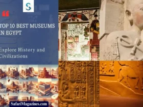 Egypt’s Top 10 Best Museums Discover History and Civilizations