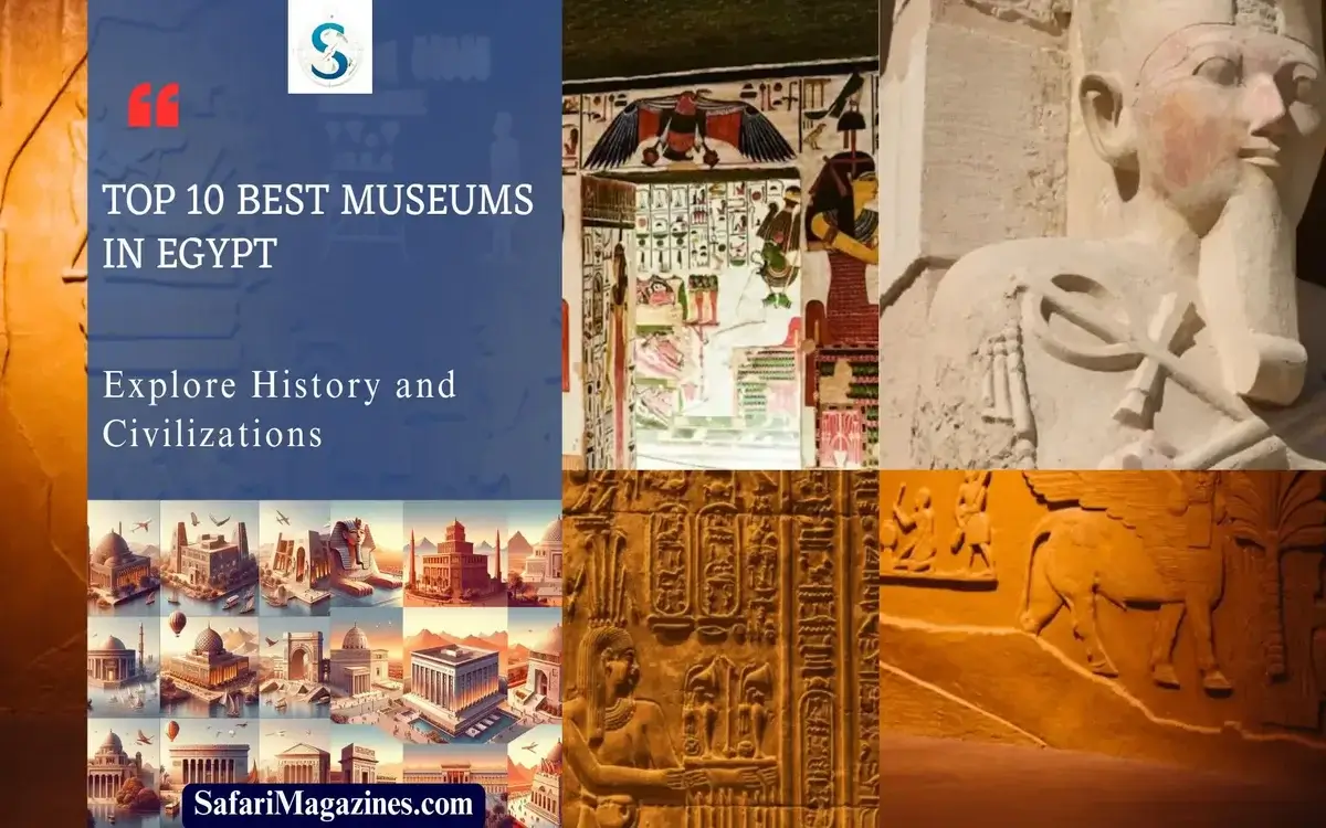 Top 10 Best Museums in Egypt: The History and Civilizations